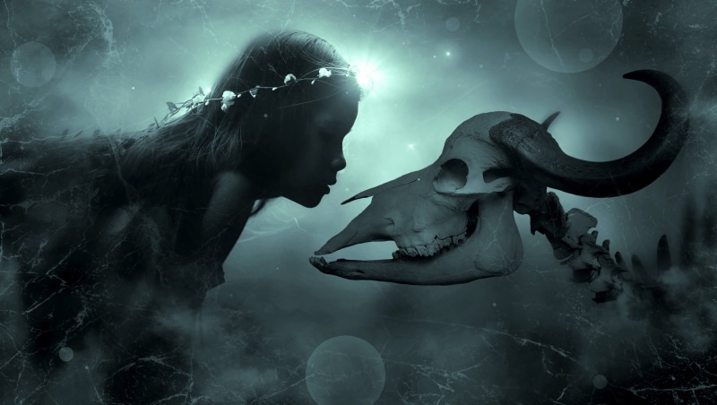 group of animals, fantasy picture, lighting, mysterious, marine, haze, silhouette, girl, mysticism, ghostly, atmosphere, underwater, darkness, curious