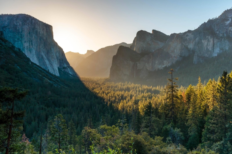 yosemite, landscape, environment, forest, scenics - nature, formation, idyllic, sky, rock, plant, no people, beauty in nature, park, growth, national, tree