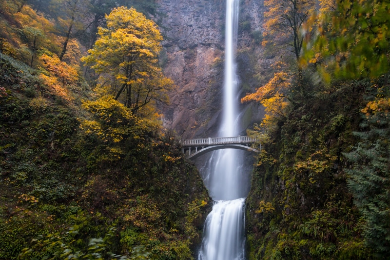 Columbia river, outdoors, landscape, nature, 5K, autumn, forest, canon  EOS  70D, photo, scenics, Bridge, beauty In Nature, fall, leaf, Wide angle, foliage