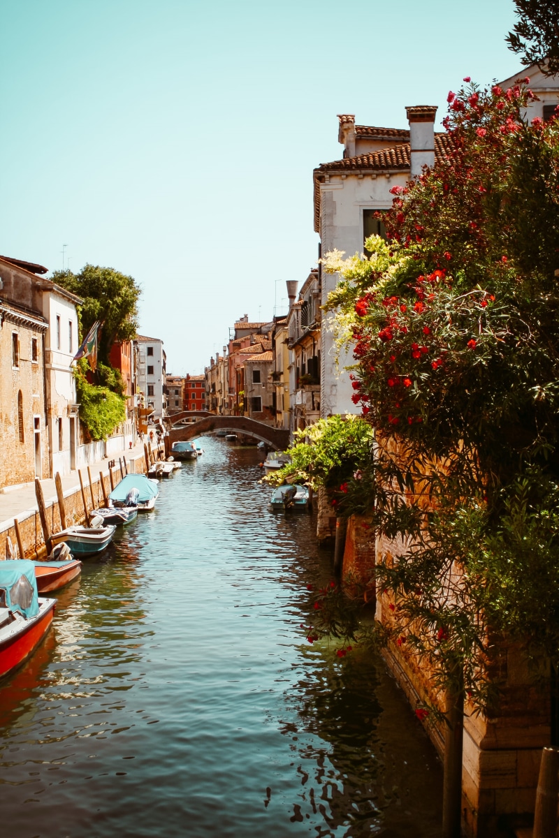 plant, old town, europe, top, old, residential district, flowers, clear sky, boats, building, building exterior, nautical vessel, nature, built structure