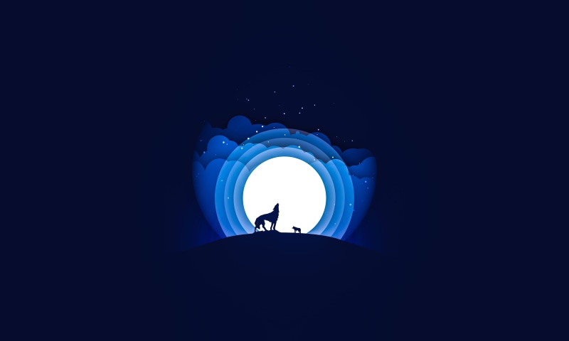women, silhouette, light at the end of the tunnel, illustration, leisure activity, howling, creativity, inspiration, spirituality, sky, indoors, lifestyles