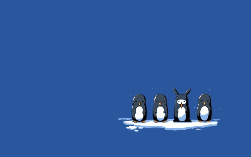 love, humor, blue, simple background, rabbits, creativity, animals, penguins, cut out, representation, studio shot, copy space, ice, no people, simple