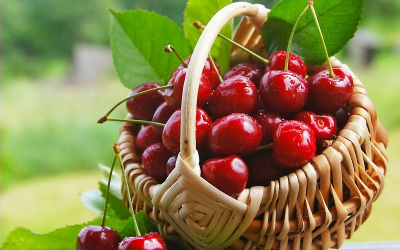 berry fruit, baskets, 1080P, cherries, wicker, no people, freshness, cherry, day, food and drink, food, nature, sweet food, focus on foreground, plant part