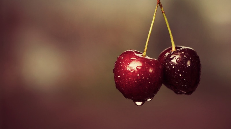 wellbeing, healthy eating, focus on foreground, ripe, dew, food, 1080P, macro, wet, plant stem, water, hanging, berry fruit, close-up, food and drink