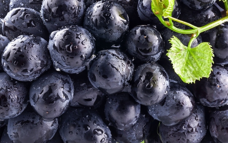ripe, grapes, berry Fruit, full frame, nature, refreshment, vegetable, sweet Food, blue, food And Drink, vitamin, black Color, blueberries, snack, backgrounds
