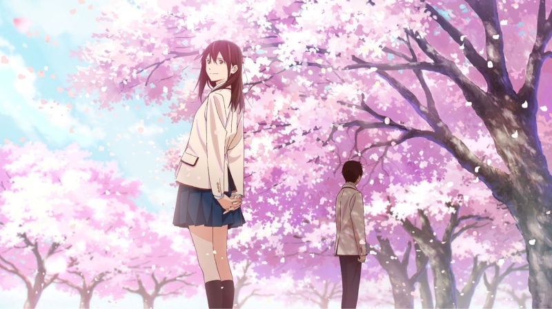 Sakura Yamauchi, Anime, I Want To Eat Your Pancreas, 1080P, Haruki Shiga