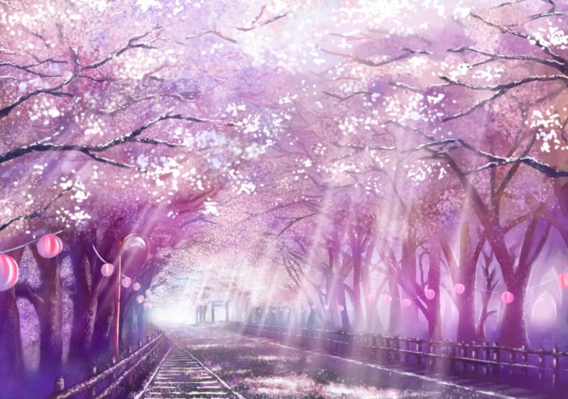 Anime, 720P, path, sakura blossom, cherry, sunlight, scenic, anime landscape