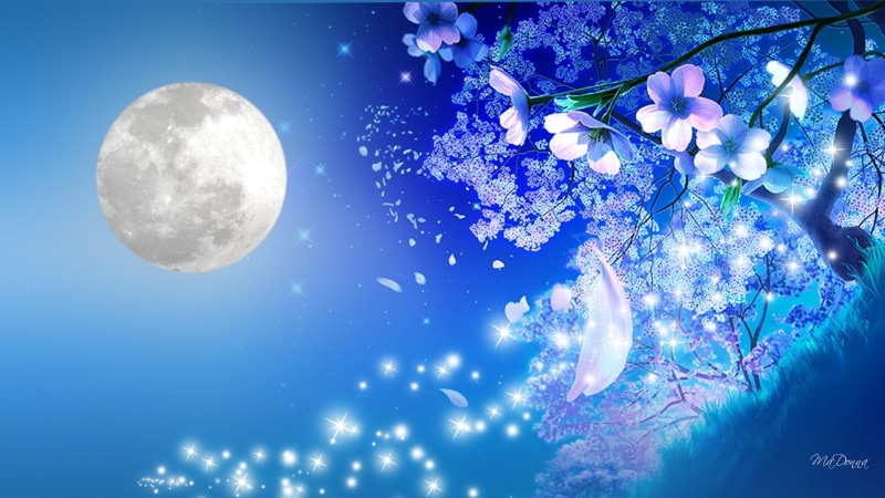 bright, romantic, 1080P, nights, flowers, tenderness, cherry blossoms, sakura, apple blossoms, petals, tender, blue, grass