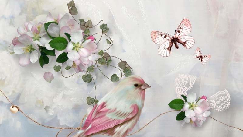 1080P, spring, summer, bird, butterfly, sakura, enchantment, firefox persona, beads, lace, 3d, apple blossoms, pink
