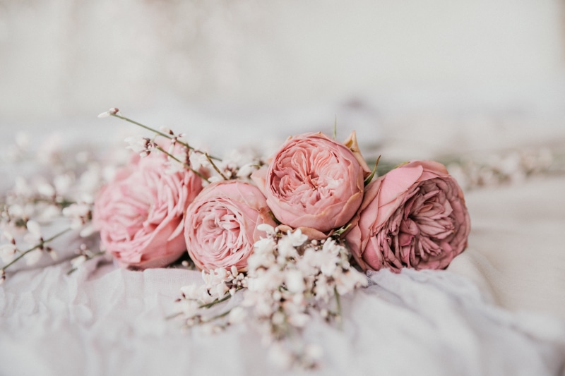 art, cherry blossom, close-up, vulnerability, bouquet, no people, flowering plant, outdoors, pink, selective focus, beauty in nature, freshness, carnation