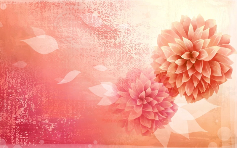1080P, Picture, Pink, Vector, Bud, Flower, Petals