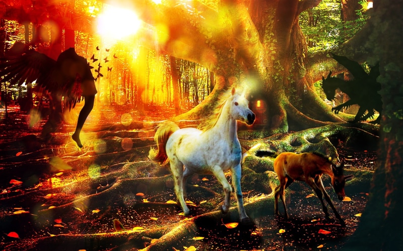 sunlight, herbivorous, land, nature, mammal, pets, field, animal, unicorn, herd, sunset, fantasy, fairytale, animal themes, 1080P, whit, mythology, natural