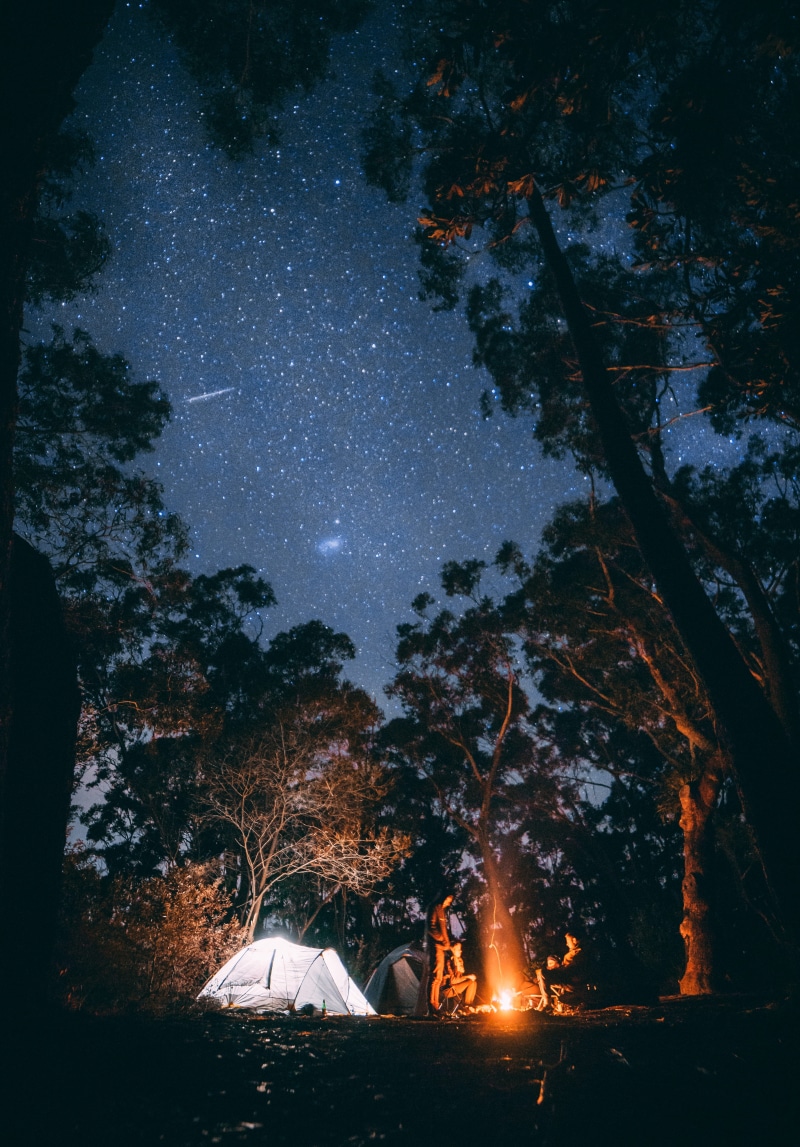 front, scenics - nature, camping, nighttime, plant, burning, glowing, outdoors, trees, friends, beauty in nature, space, flame, whit, illuminated, planet