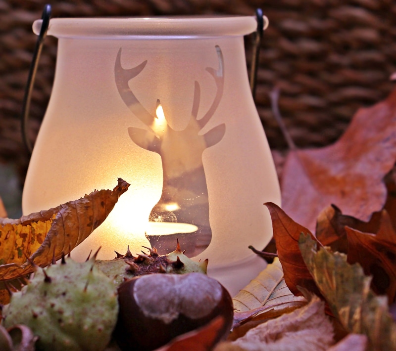leaf, color, surrounded, maple leaf, background image, plant part, fire - natural phenomenon, dry leaves, fire, print, burning tea lights in the glass