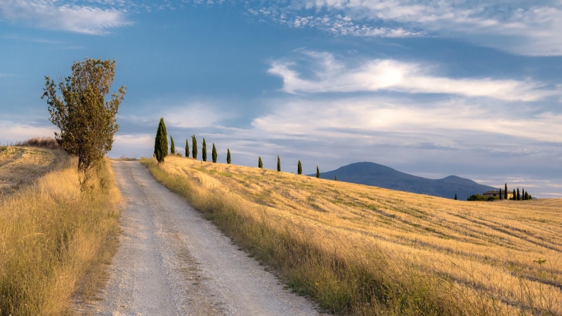 non-urban scene, sky, tuscany, hill, rural area, beauty in nature, landscape, direction, val dorcia, trail, cloud - sky, field, no people, growth, nature