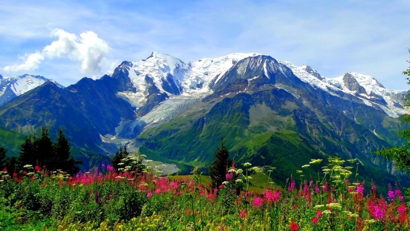 landscape, backgrounds, meadow, national, park, flowers, desktop, trek, peaks, hd, 1080P, india, alpine, valley, snow, uttarakhand, mountains