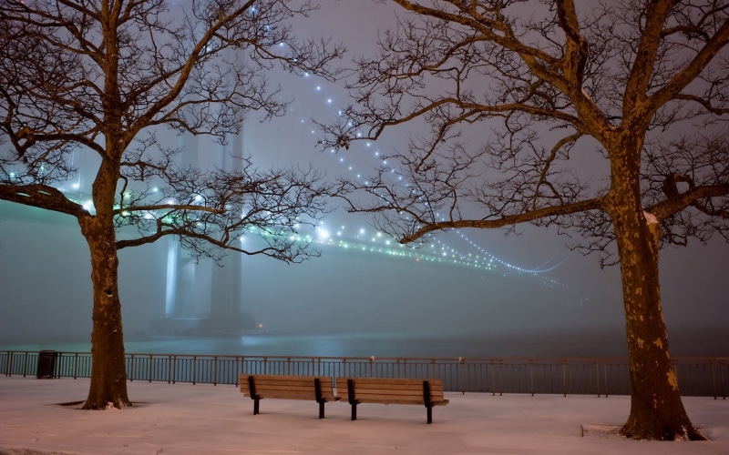 bridge, mist, bench, Verrazano-Narrows Bridge, 1080P