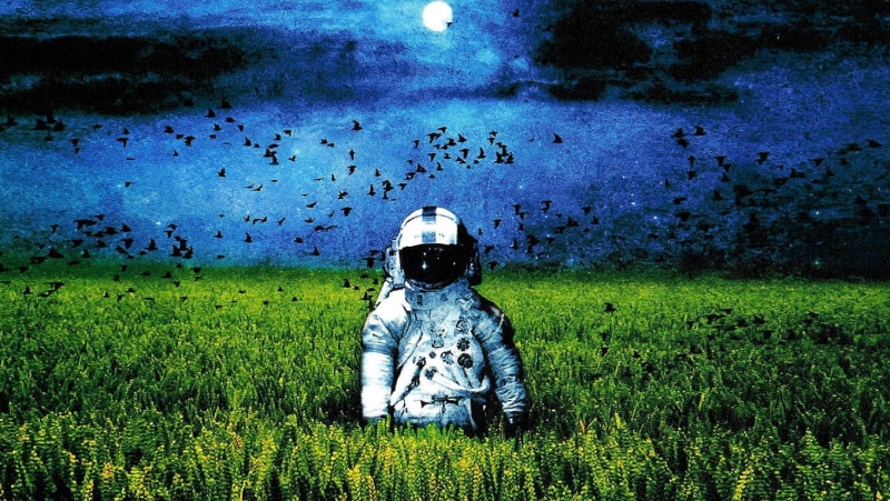 growth, helmet, outdoors, day, album covers, astronaut, childhood, headwear, real people, landscape, rear view, field, child, nature, land, artwork, leisure activity