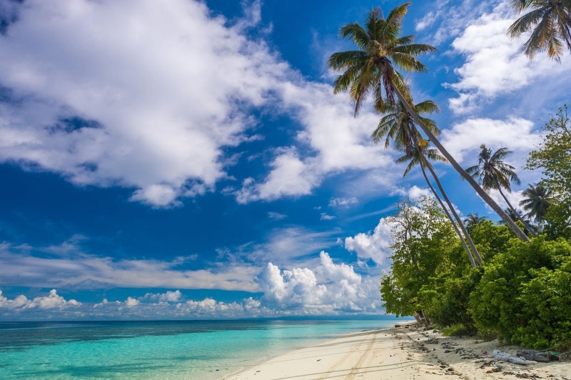 landscape, sand, blue, tranquil scene, day, scenics - nature, no people, land, coconut palm tree, tropical, tree, nature, growth, Malaysia, palm trees