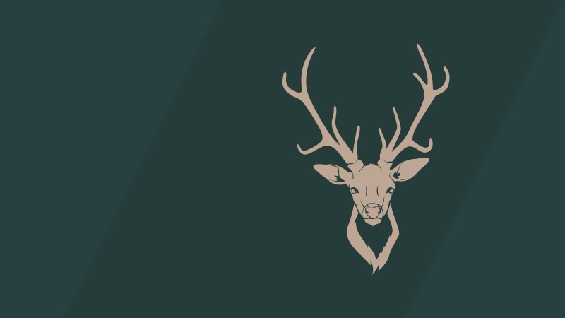 animal, antlers, deer, horned, animal skull, bone, no people, animal themes, animal wildlife, representation, minimalism, illustration, one animal, animal body part