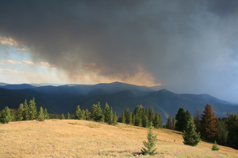 meadow, nature, tall, photo, Saddle, leaf, autumn, landscape, green leaf, Lookout  Mountain, forest, blue, Mountain  fire, tree, green, sunset, beauty In Nature