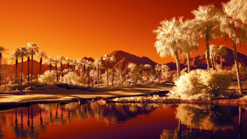 no people, night, 1080P, infrared, sky, united states, illuminated, travel destinations, sunset, architecture, plant, beauty in nature, reflection, firework