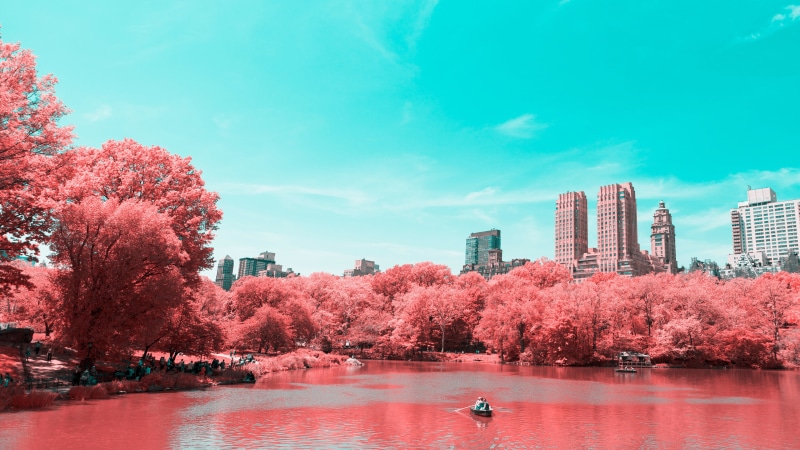 Lake, Manhattan, Infrared, 4K, 4K, New York City, Central Park