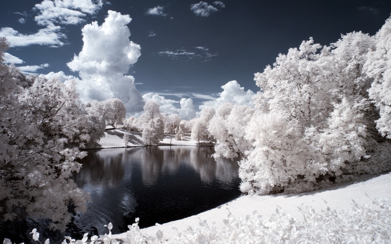1080P, infrared, nature, landscape, lake, trees