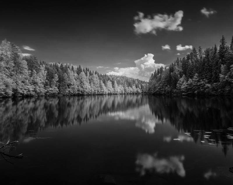 northernsavonia, water, scenics - nature, sky, beauty in nature, idyllic, non-urban scene, day, tranquil scene, kuopion, no people, Forest, nikon, kuopio