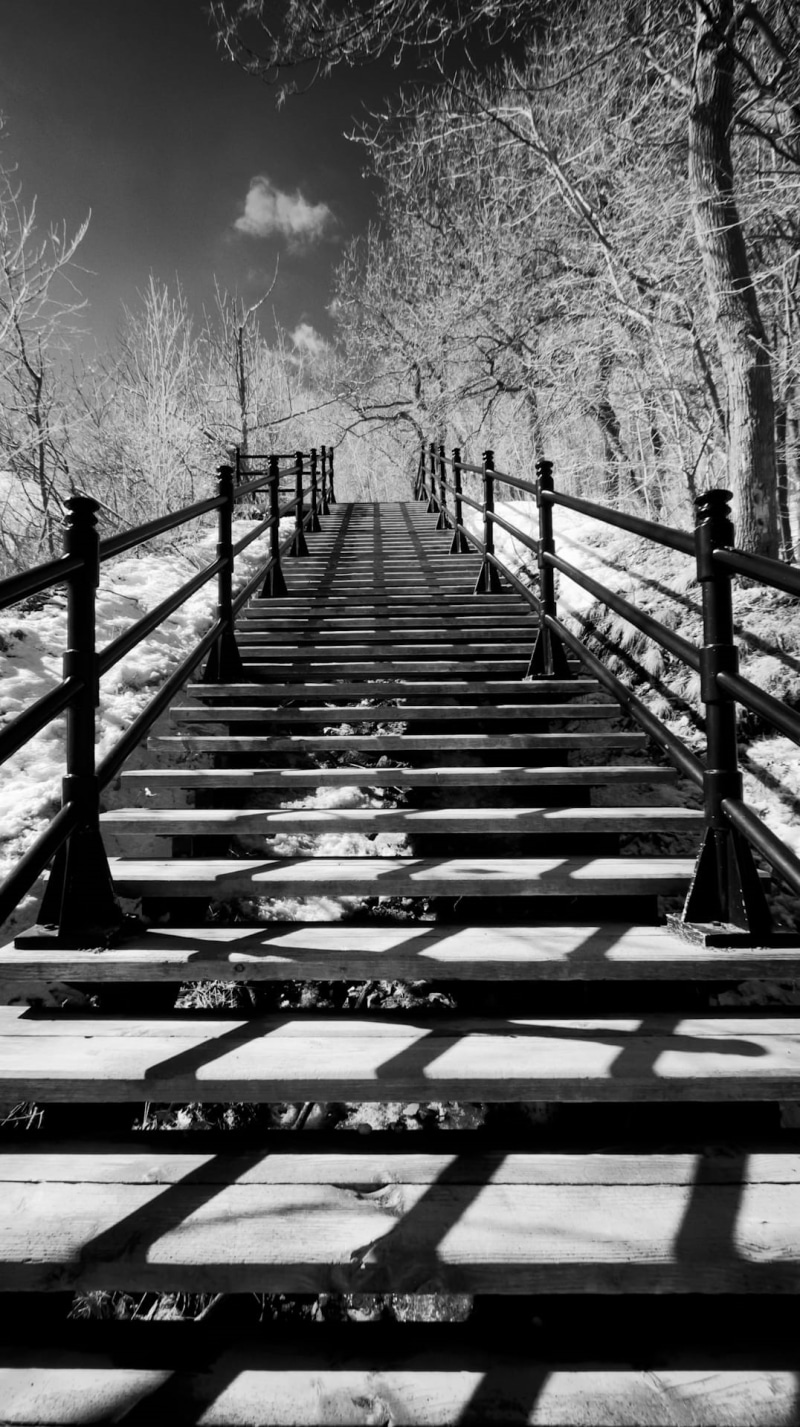 outdoors, wood - material, direction, tree, canada, connection, bridge, no people, long, land, city, tranquility, footbridge, nature, 1080P, mont royal