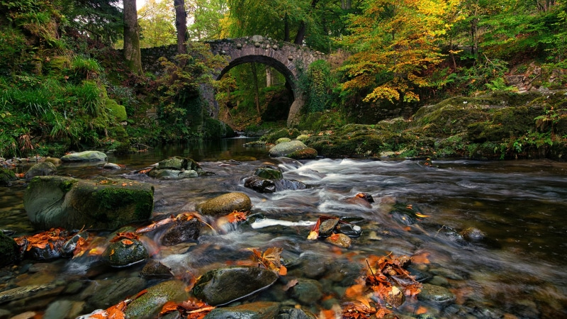 tranquility, outdoors, river, environment, stone bridge, autumn, bridge, solid, autumn landscape, rock, nature, tree, ireland, stream - flowing water, scenics - nature