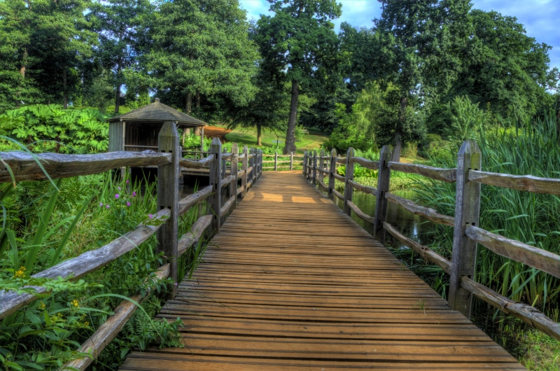 tree, wooden bridge, wood - Material, footbridge, bridge - Man Made Structure, wooden, forest, Savill  Gardens, bridge, boardwalk, brown, outdoors, 4K