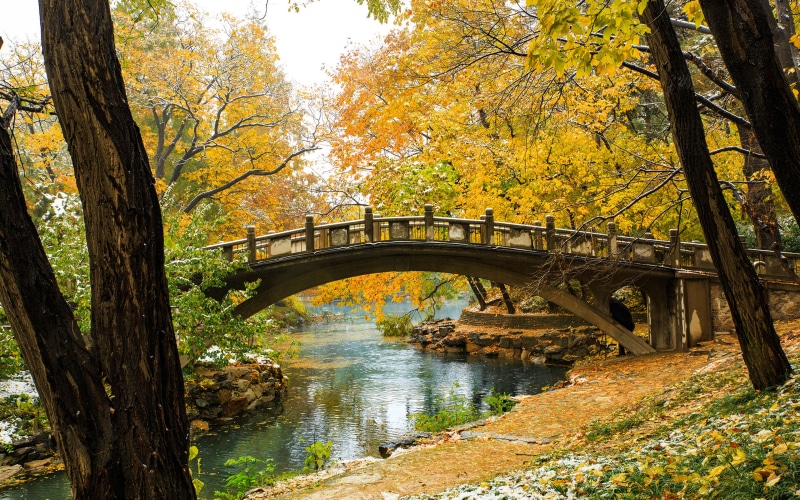wallpapers, bridge, old, footbridge, laptop, autumn, no people, tranquility, ultra, architecture, forest, transportation, plant, tree, outdoors, summer
