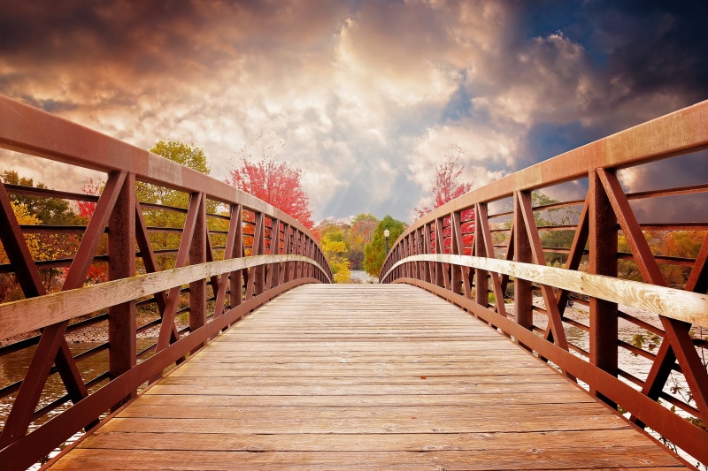 footbridge, bridge - Man Made Structure, railing, city, direction, tree, no people, scenic, brown, usa, architecture, land, outdoors, forest, evening, rain