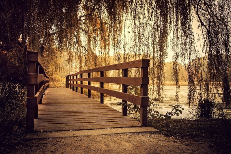 footbridge, tree trunk, direction, plant, Illinois, 720P, tranquil scene, wood - material, scenics - nature, nature, beauty in nature, forest, river, land