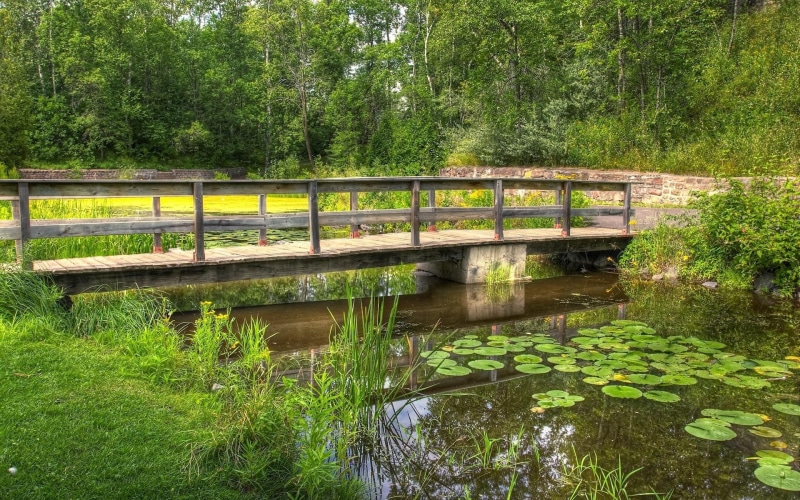 plant, tranquility, footbridge, forest, growth, nature, outdoors, reflection, lake, day, grass, water, bridge - man made structure, computer desktop  full screen nature pics 1920x1200