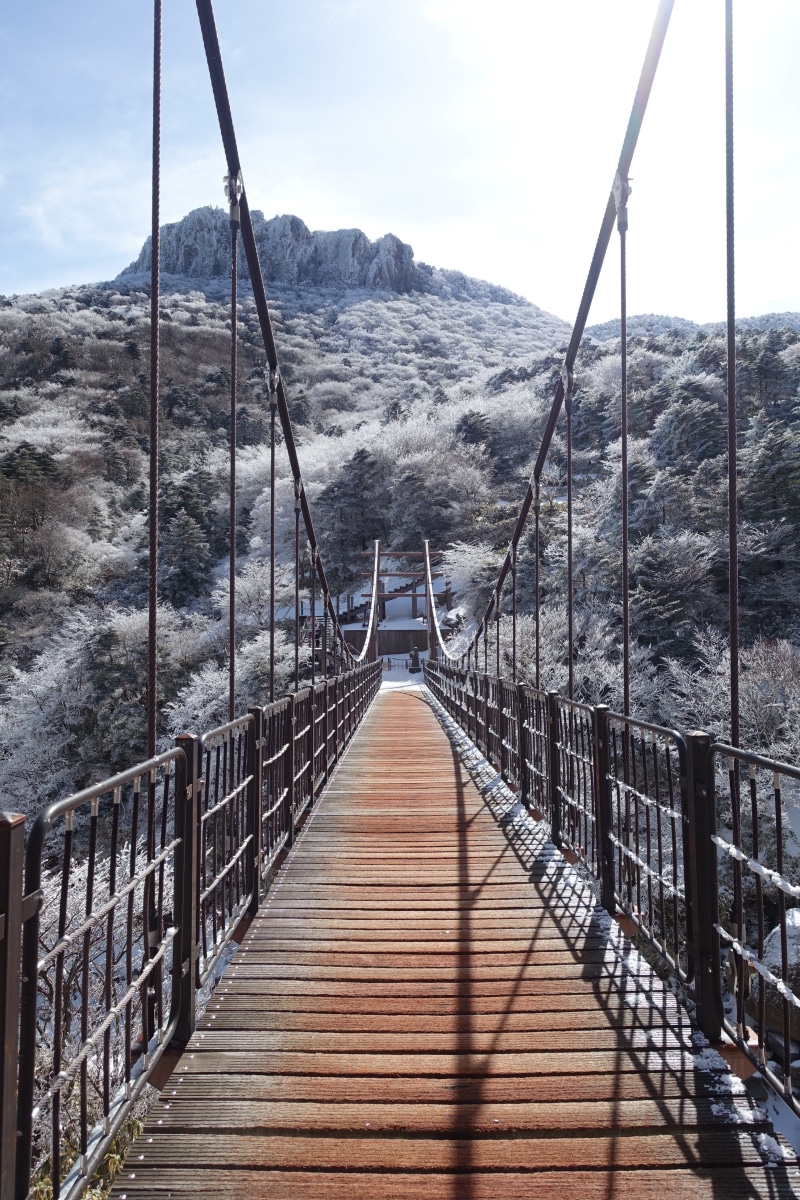 no People, bridge - Man Made Structure, Jeju Island, scenics, diminishing perspective, railing, built structure, footbridge, 4K, travel, day, transportation