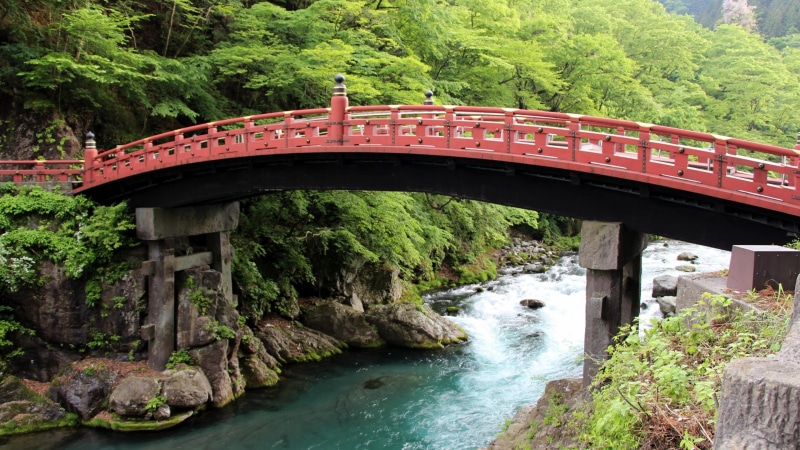 tree, flowing water, bridge - man made structure, runnel, forest, plant, transportation, day, creek, architecture, built structure, flowing, national park