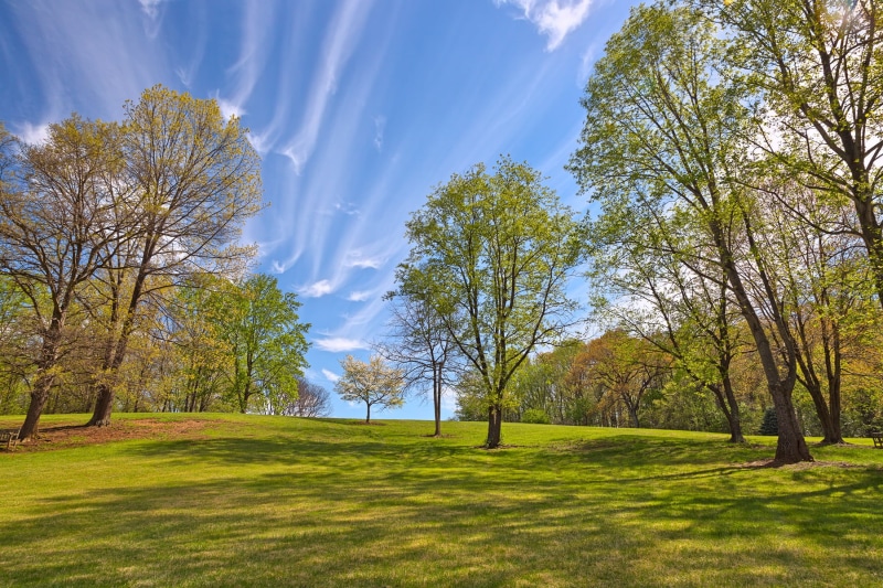 outside, maroon, natural, brown, foliage, sky, calm, background, 720P, touristic, HDR, time, clouds, garden, scene, outdoor, trees, usa, picture, spring  season