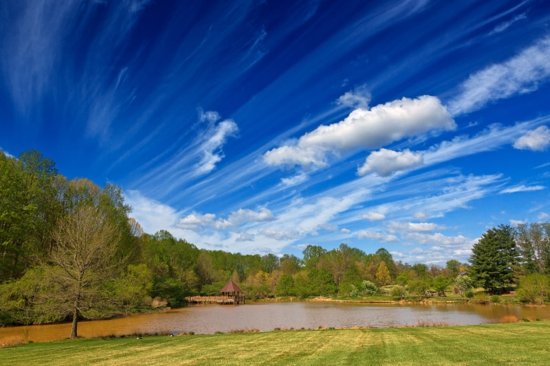 colorful, colors, spring  season, colours, ca, garden, woods, picture, outside, summer, united  states, green, waterscape, outdoors, body, scene, brown