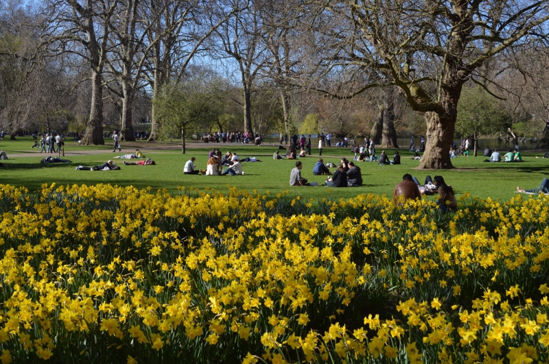 spring, group of people, sightseeing, sights, cityscape, kingdom, united, famous, park - man made space, history, grass, garden, british, westminster, st