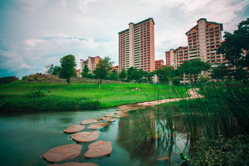 walk, singapore, golf Course, leaf, tree, summer, tropical, tourism, nature, rock, skyscraper, jungle, spring, lake, natural, architecture, cloud - sky
