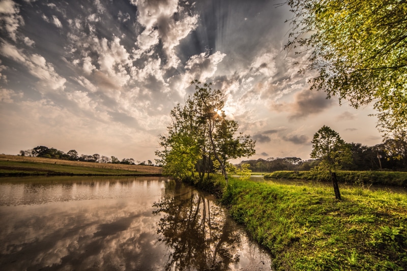 photography, sunlight, walk, field, green, cloudy, tree, autumn, sunset, plant, orange, sun, beauty in nature, spring, park, pond, natural, season, outdoors