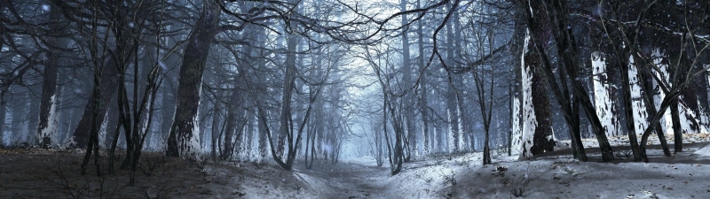nature, tranquility, no people, multiple display, winter, bare tree, 4K, landscape, snow, tranquil scene, tree, environment, tree trunk, woodland, leafless