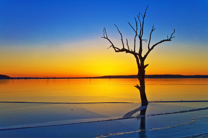 Tree, Lake  Lawrence, landscape, Lawrence, hour, Patrick, sunset, Kansas, body of water, golden hour, body, Sunset  Lake, ice, water, leafless, 4K, sky