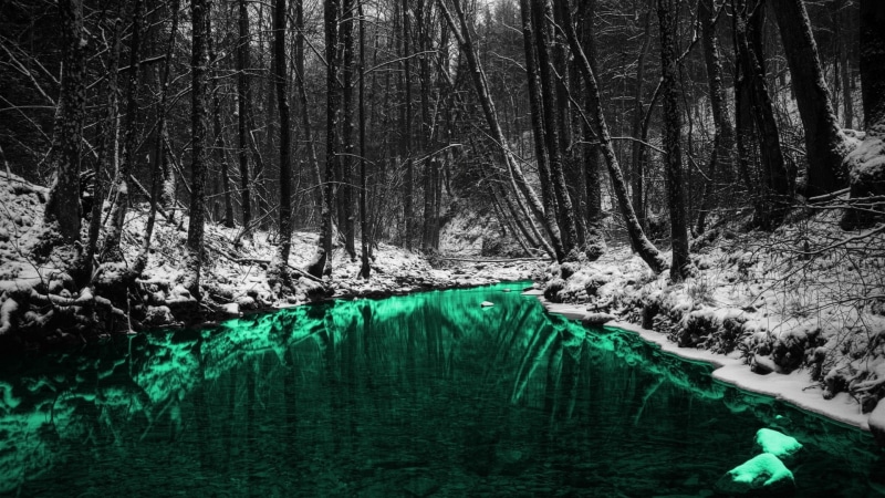 day, non-urban scene, ice, leafless, 1080P, forest, land, plant, trees, winter, lake, scenics - nature, water, tranquil scene, selective coloring, cold temperature