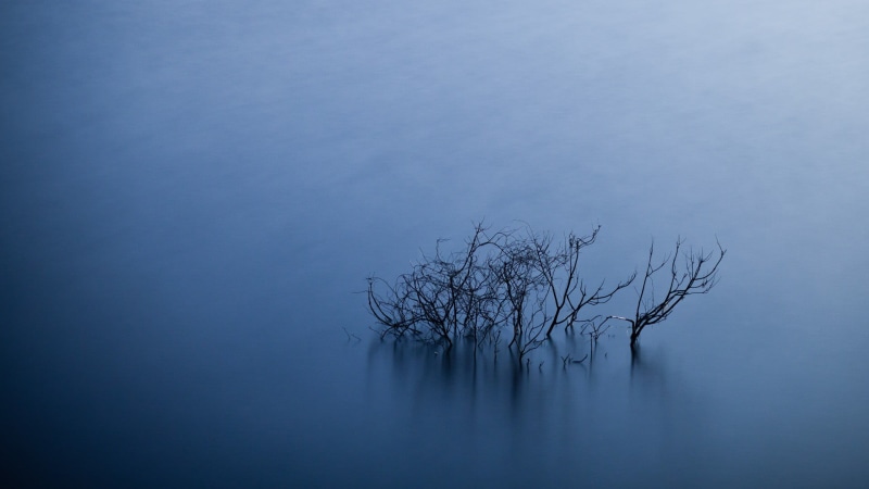 outdoors, waterfront, water, fog, bare tree, scenics - nature, sky, tranquility, black, plant, tree, tranquil scene, no people, nature, leafless, non-urban scene