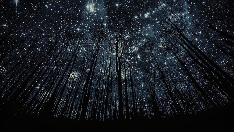 clip, blue, night, art, land, space, outdoors, galaxy, trees, shiny, scenics - nature, tranquil scene, nebula, landscape, close-up, dark, christmas, backgrounds