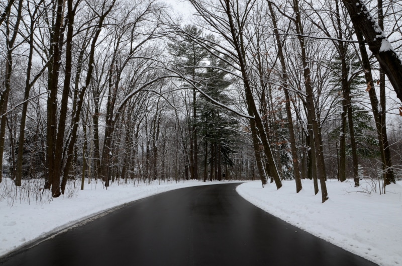 nature, leafless, outdoors, frozen, landscape  park, forest, frost, buhl, trees, road, street, cold - Temperature, season, snow, weather, winter, landscape