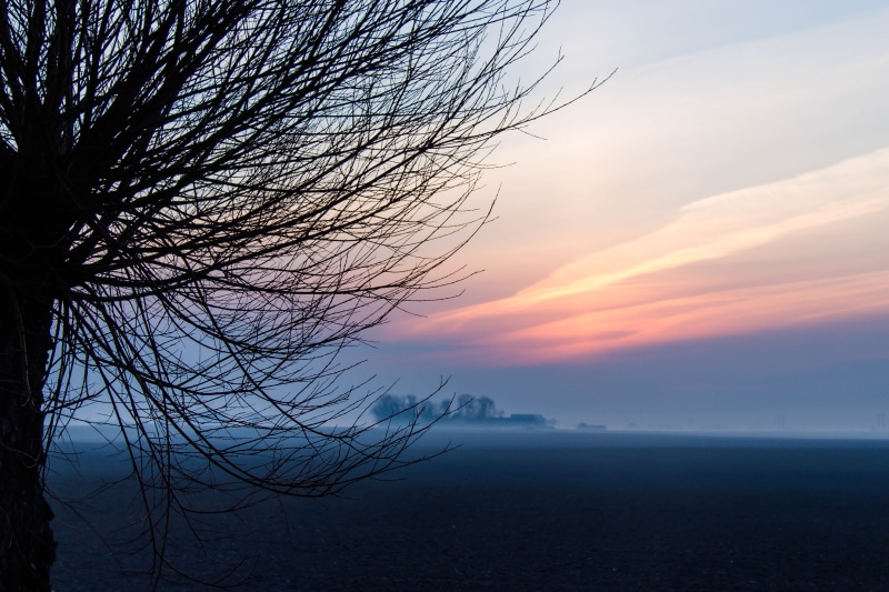 frost, water, countryside, Frosty, nature, body of water, landscape, leafless, Himmel, sunset, sea, body, 5K, Landskap, dusk, Sky, Söderslätt, Sunrise